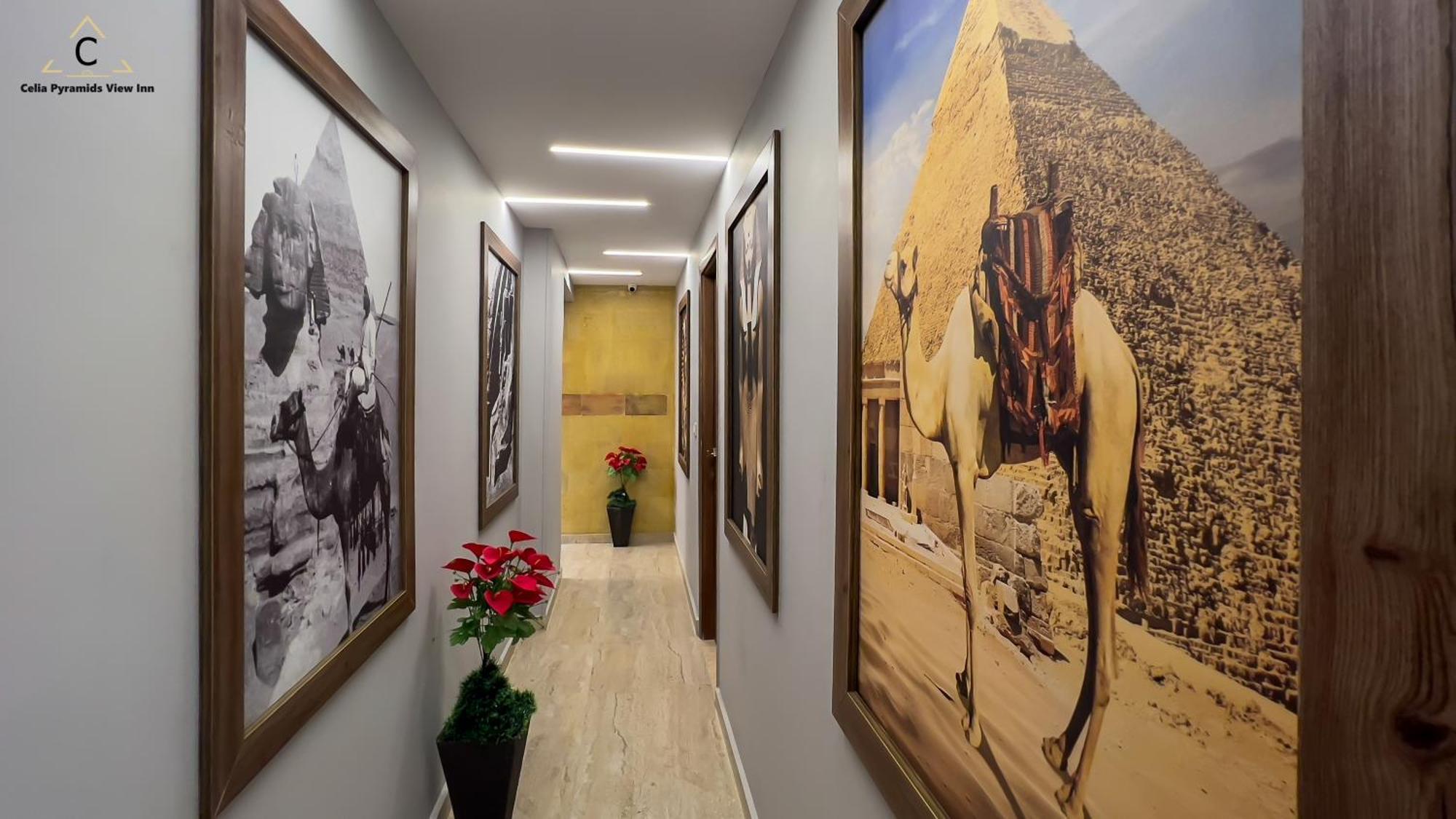 Celia Pyramids View Inn Nazlet el-Sîsi エクステリア 写真